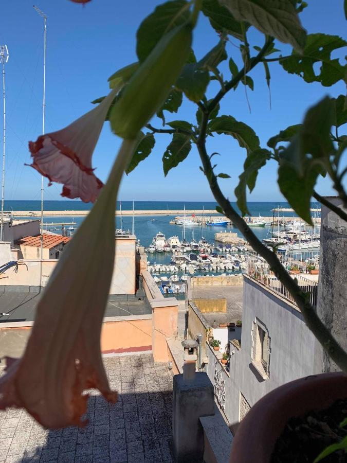 B&B Marnudd Bisceglie Exteriör bild